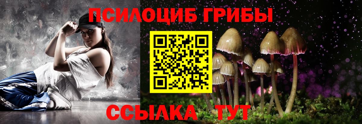 Рубцовск  Псилоцибиновые грибы прущие грибы  Вход с VPN 